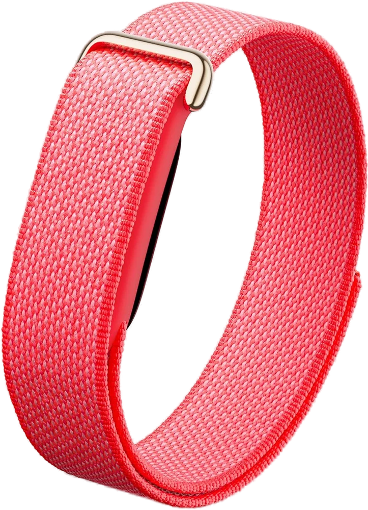 Google Fitbit Air
